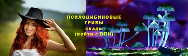 mdpv Касимов