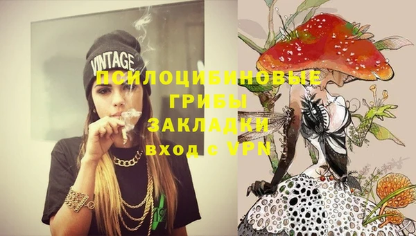 крисы Карталы