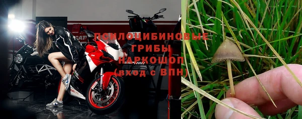 крисы Карталы