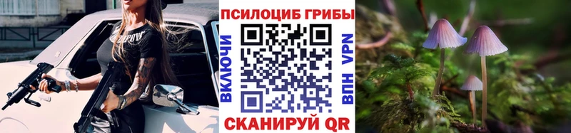 Галлюциногенные грибы мицелий  Купить где  Дмитровск 