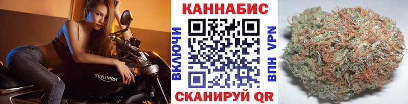 Купить закладки  Дмитровск  Бошки Шишки THC 21% 